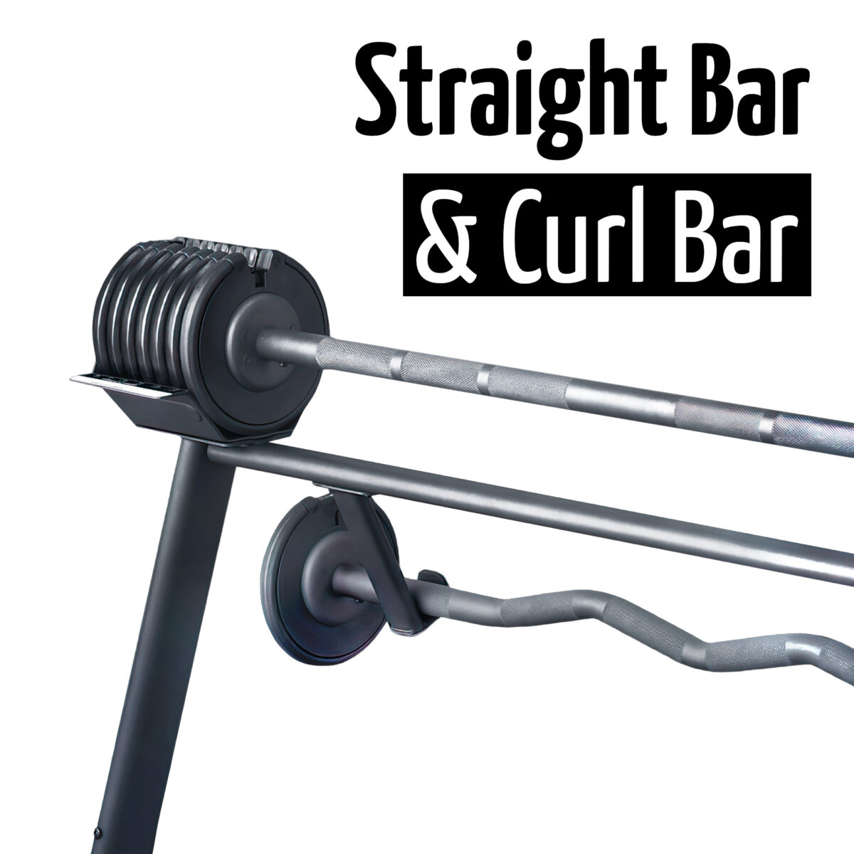 Straight Bar And Curl Bar Barbell